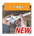 new pay brush